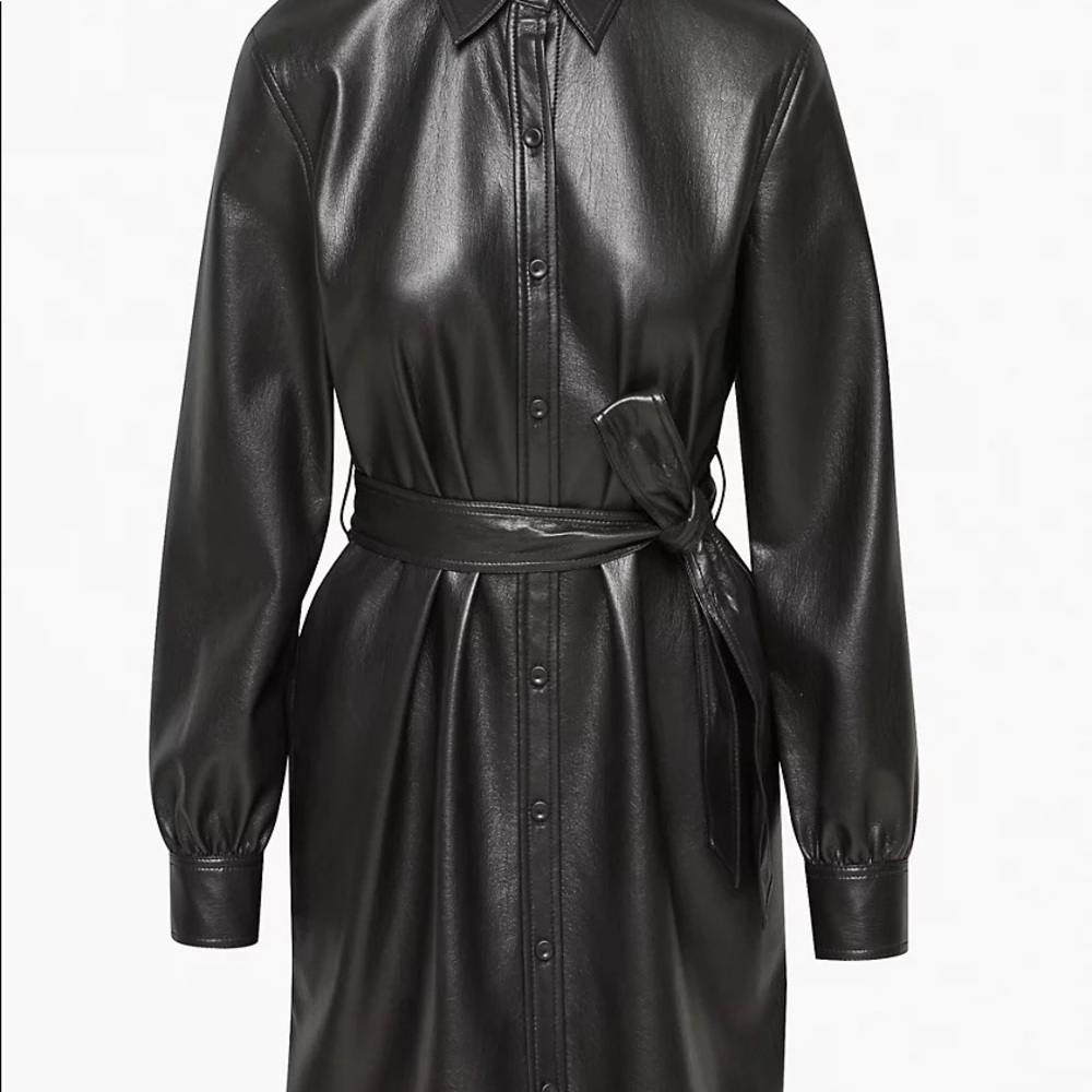 Aritzia Wilfred Caroline Dress